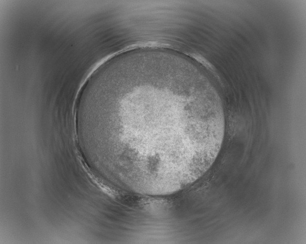 X0000063450886200602101645