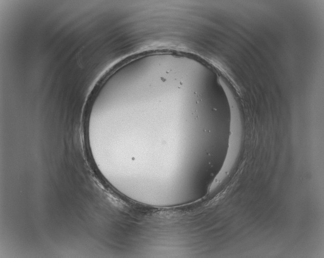 X0000063450888200602101645