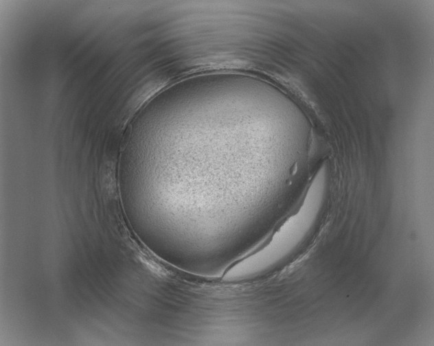 X0000063450889200602101645