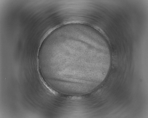 X0000063450890200602101645