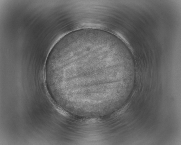 X0000063450891200602101645