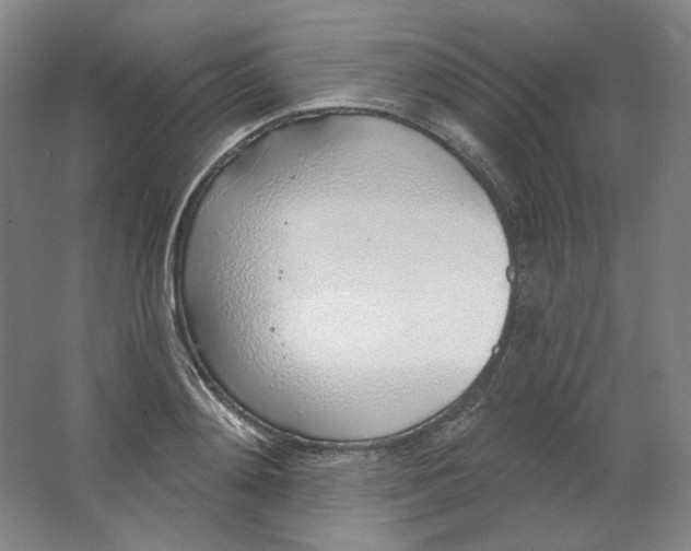 X0000063450892200602101645