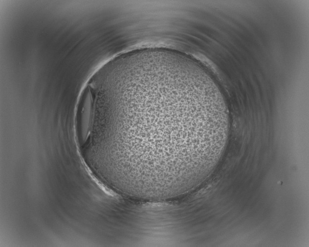 X0000063450894200602101645