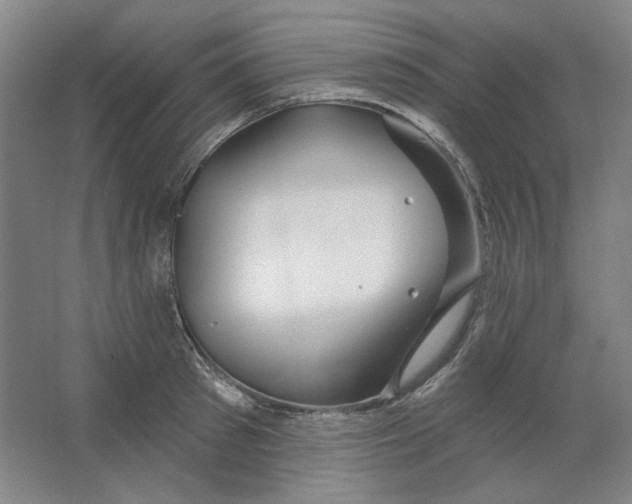 X0000063450897200602101645