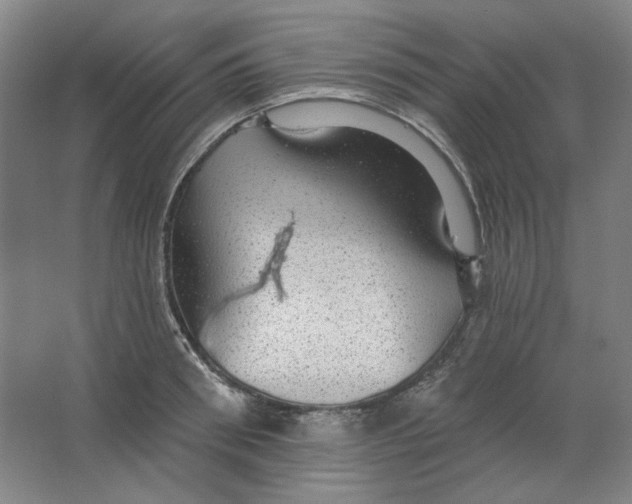 X0000063450898200602101645