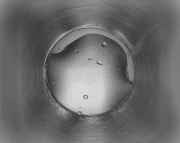 X0000063450900200602101645