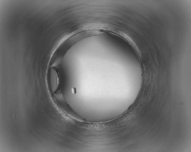 X0000063450901200602101645