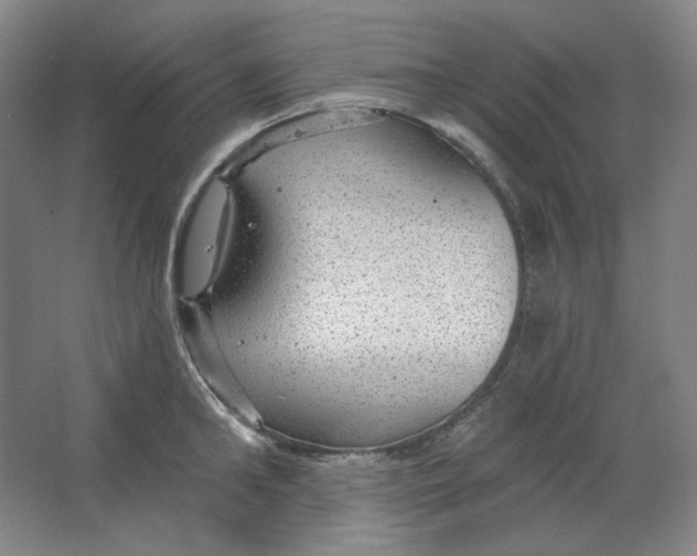 X0000063450902200602101645