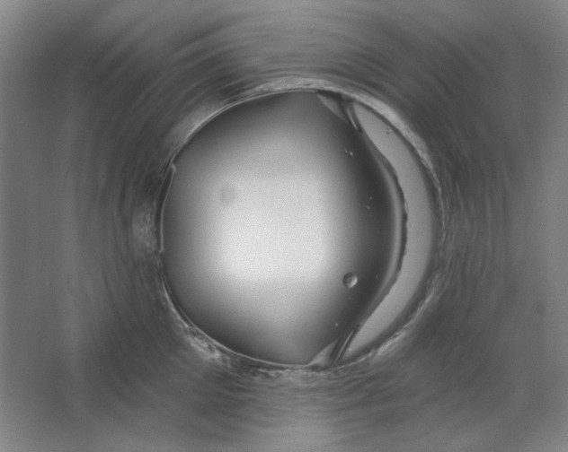 X0000063450905200602101645