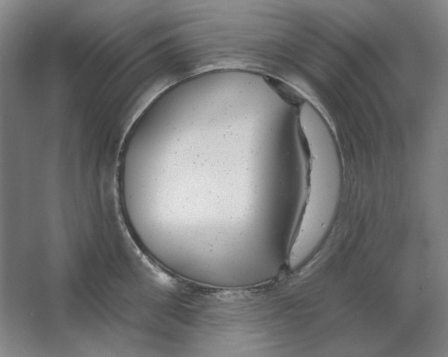 X0000063450906200602101645