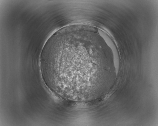 X0000063450907200602101645