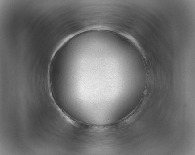 X0000063450910200602101645