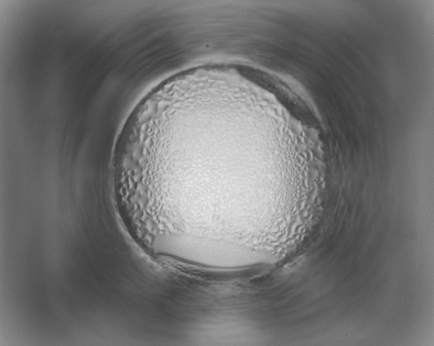 X0000063450911200602101645