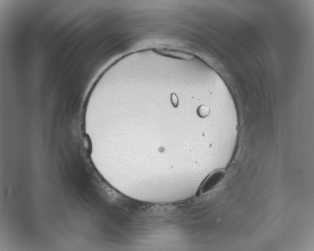 X0000063450912200602101645