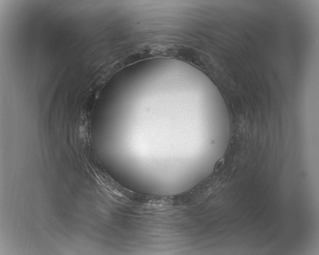 X0000063450914200602101644