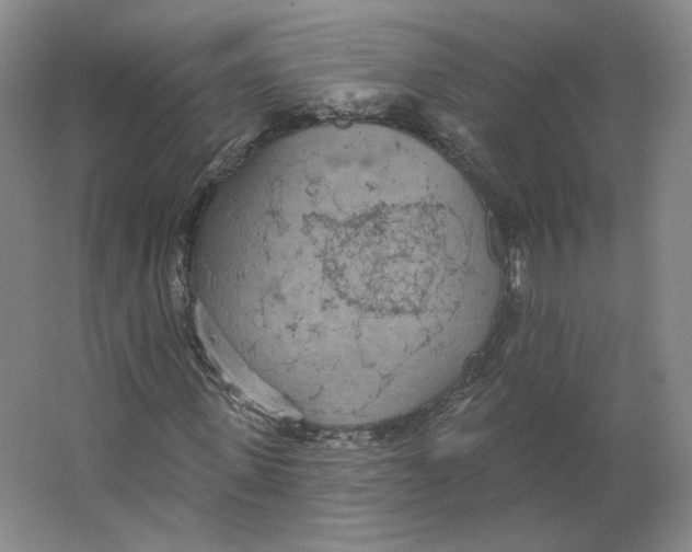 X0000063450915200602101644