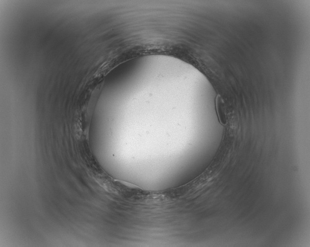 X0000063450916200602101644