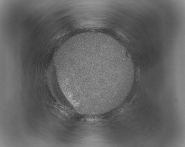 X0000063450917200602101644