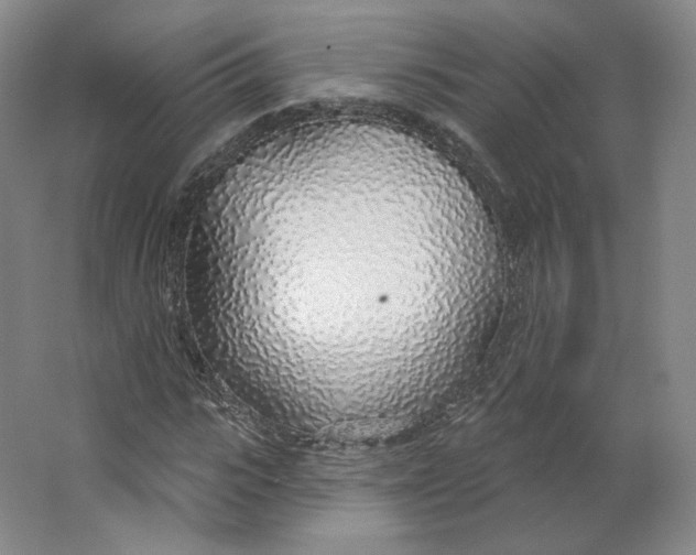 X0000063450919200602101644