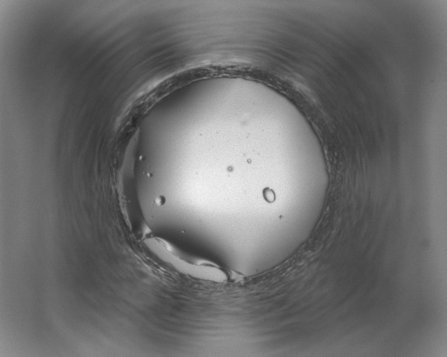 X0000063450920200602101644