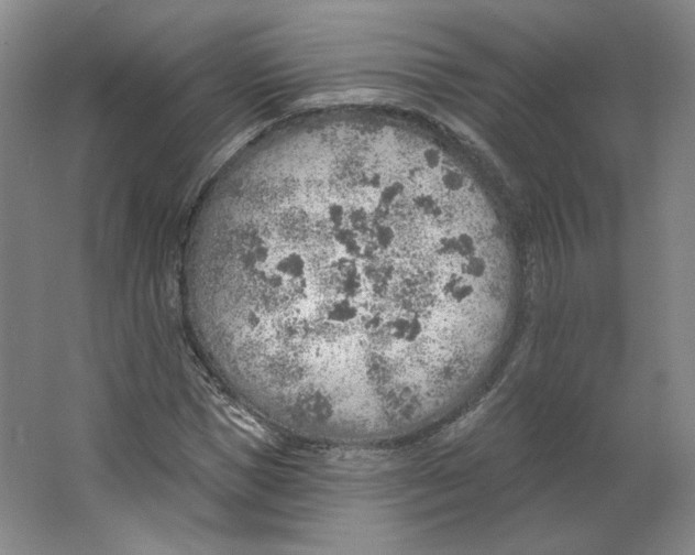 X0000063450921200602101644