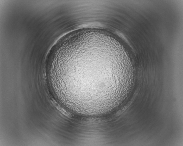 X0000063450923200602101644