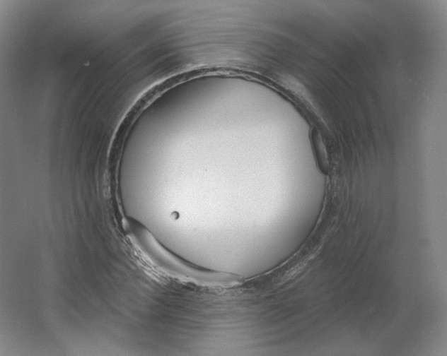 X0000063450924200602101644