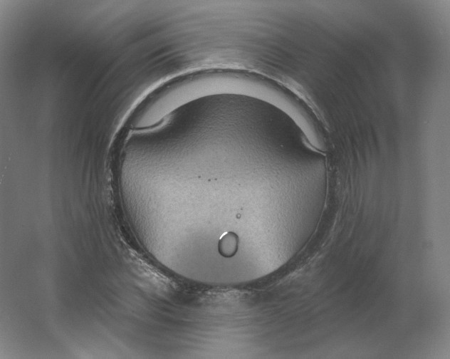 X0000063450926200602101644