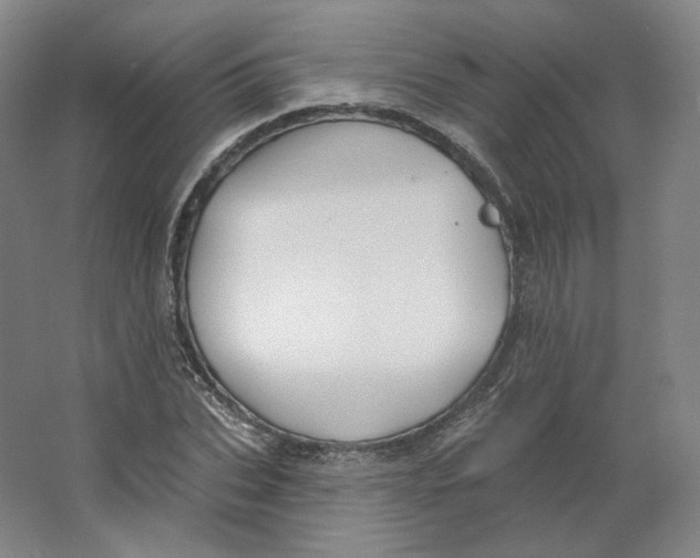 X0000063450927200602101644