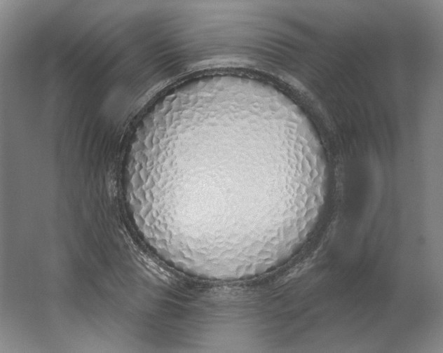 X0000063450929200602101644