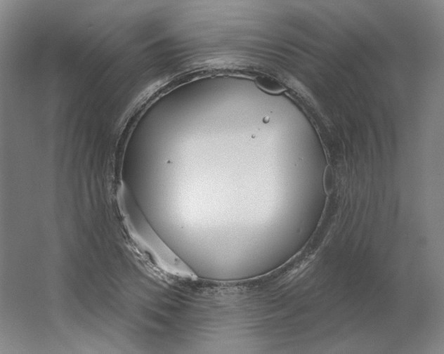 X0000063450930200602101644