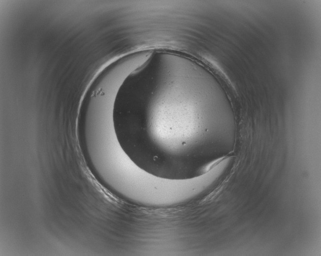 X0000063450932200602101644