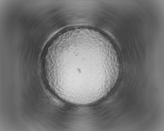 X0000063450933200602101644