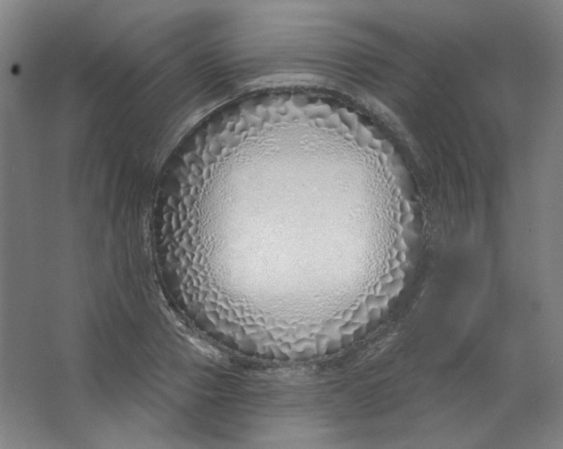 X0000063450937200602101645