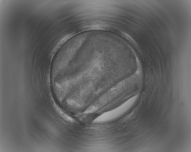 X0000063450938200602101645