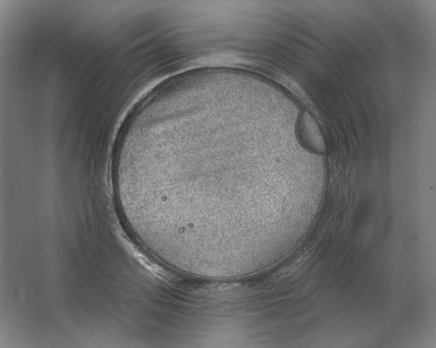 X0000063450939200602101645