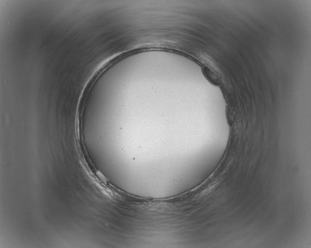 X0000063450940200602101645