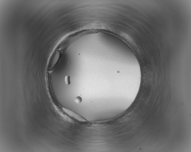 X0000063450942200602101645