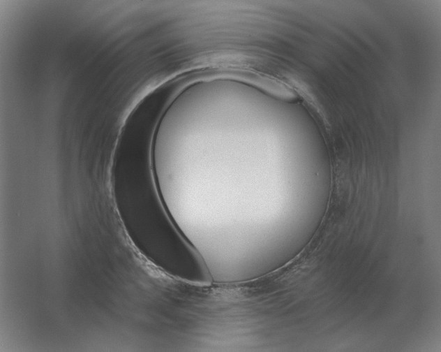 X0000063450944200602101645