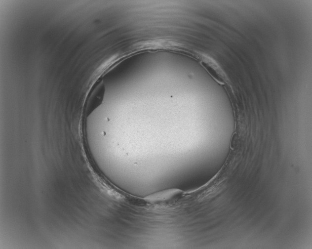 X0000063450946200602101645