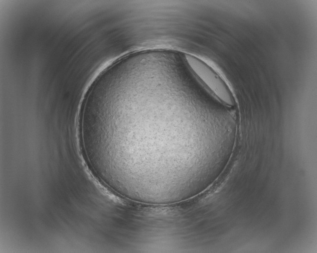 X0000063450949200602101645