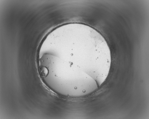 X0000063450950200602101645