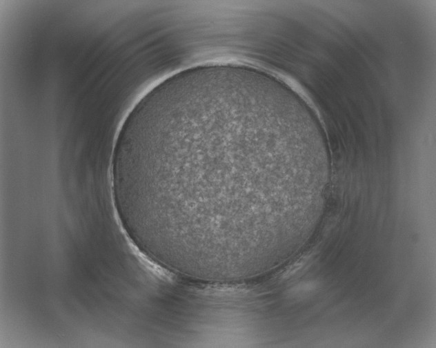 X0000063450951200602101645