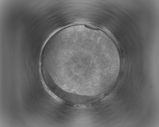 X0000063450955200602101645