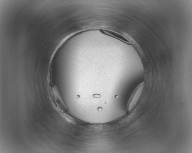 X0000063450956200602101645