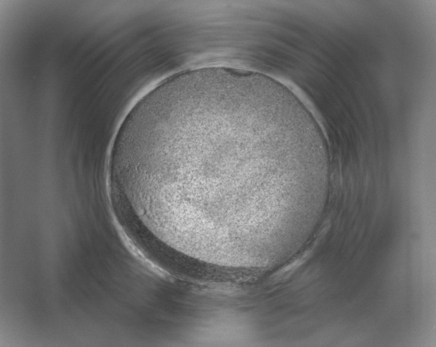 X0000063450957200602101645