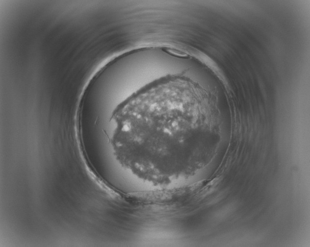 X0000063450958200602101645