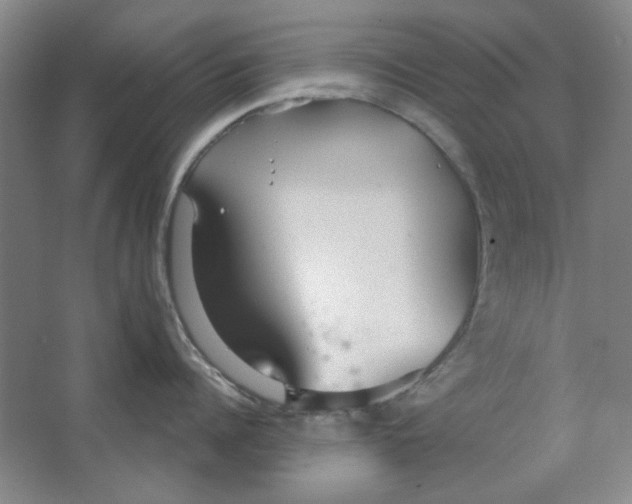 X0000063450960200602101645