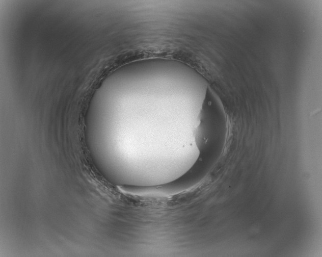 X0000063450961200602101644