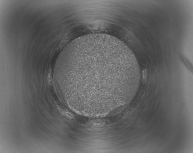 X0000063450963200602101644